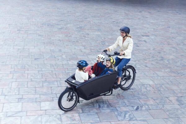Urban Arrow - Family Cargo Line - El Ladcykel