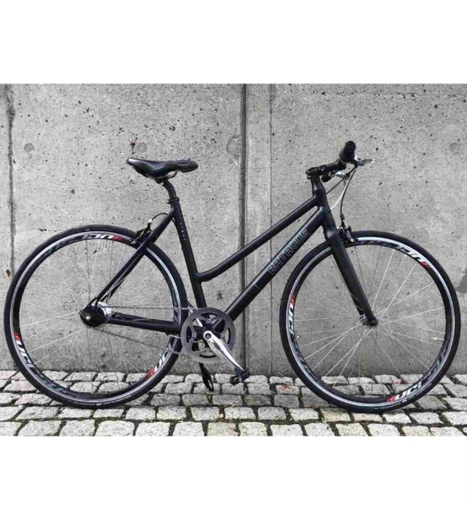 Batavus - Atmos LCD - Nexus 7 - 53 cm - L - Mat Sort