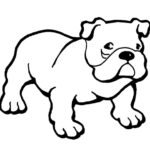 Bulldog