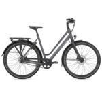 Gazelle – Chamonix S11 – Alfine 11 – L – Cloud Gray