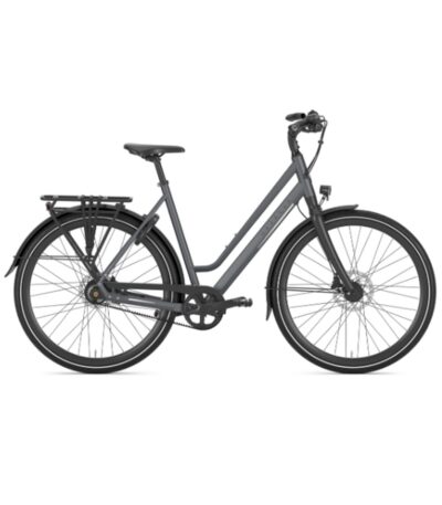 Gazelle – Chamonix S11 – Alfine 11 – L – Cloud Gray