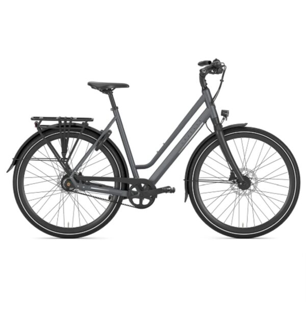 Gazelle – Chamonix S11 – Alfine 11 – L – Cloud Gray