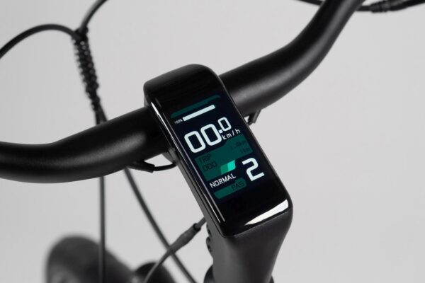 Tenways - CGO800S - Singlespeed - Belt - L - Sort