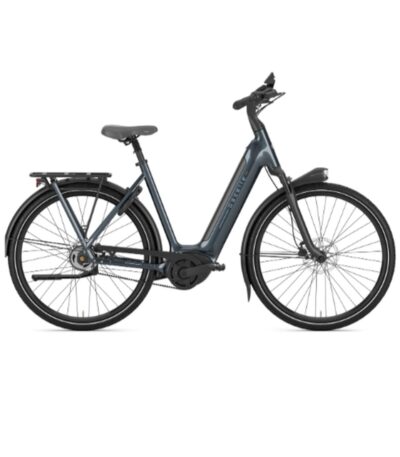 Gazelle - Arroyo C5 Elite - Belt - L - Anthracite grey