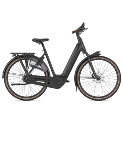 Gazelle – Arroyo C8+ – Elite – Nexus 8 – L - Black