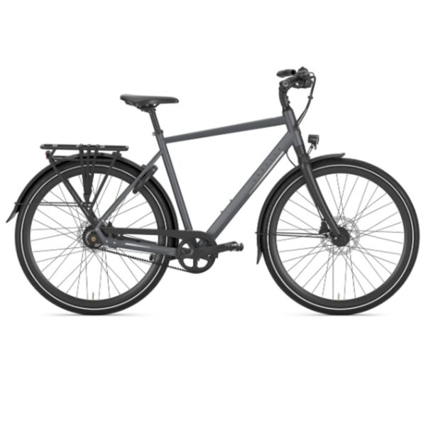 Gazelle – Chamonix S11 – Alfine 11 – H – Cloud Gray