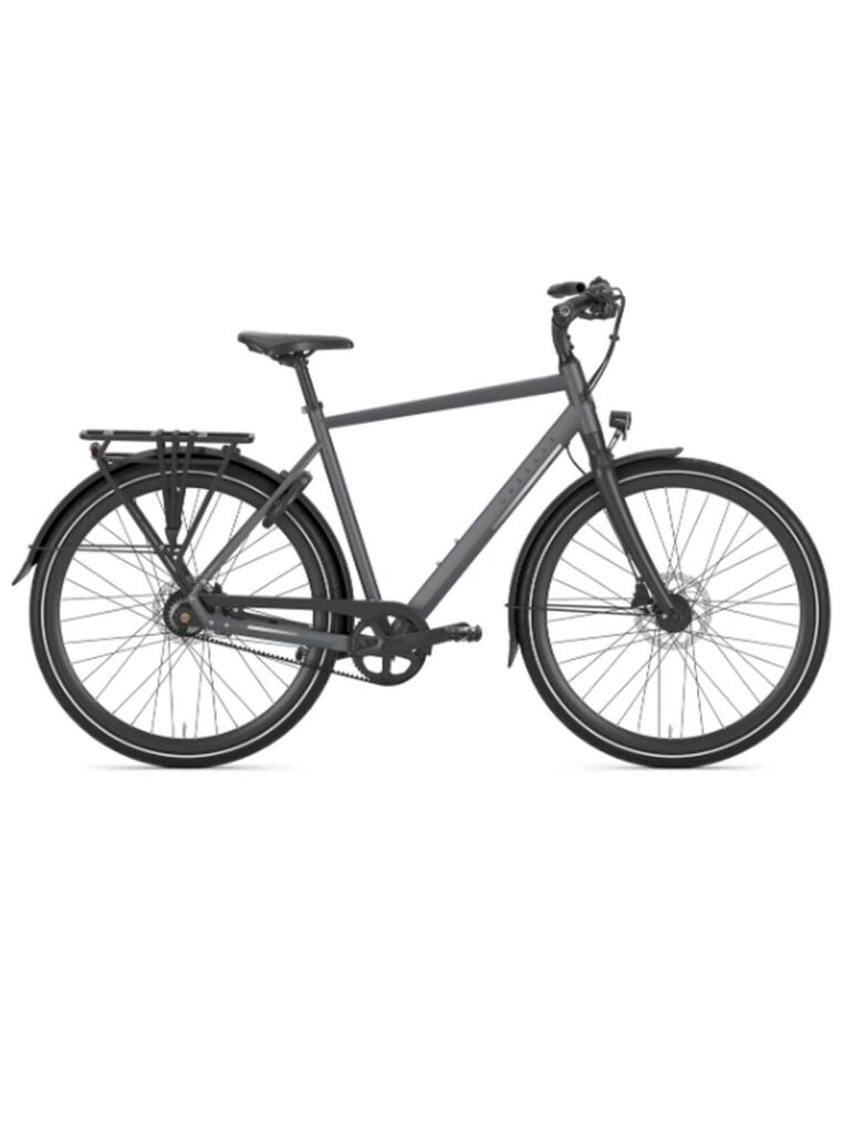 Gazelle – Chamonix S11 – Alfine 11 – H – Cloud Gray