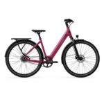 Tenways - CGO800S - Singlespeed - Wild Berry