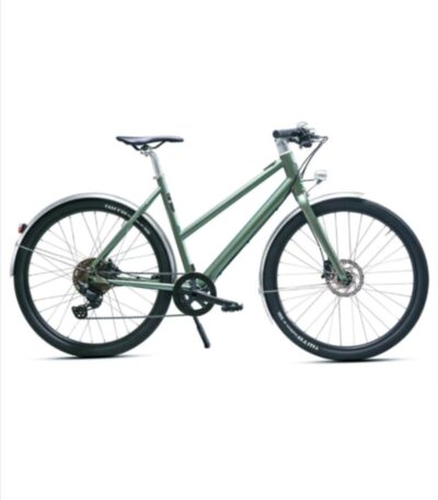 Pelago – Lovisa – Mahle X30 – Deore 1×10 – Green
