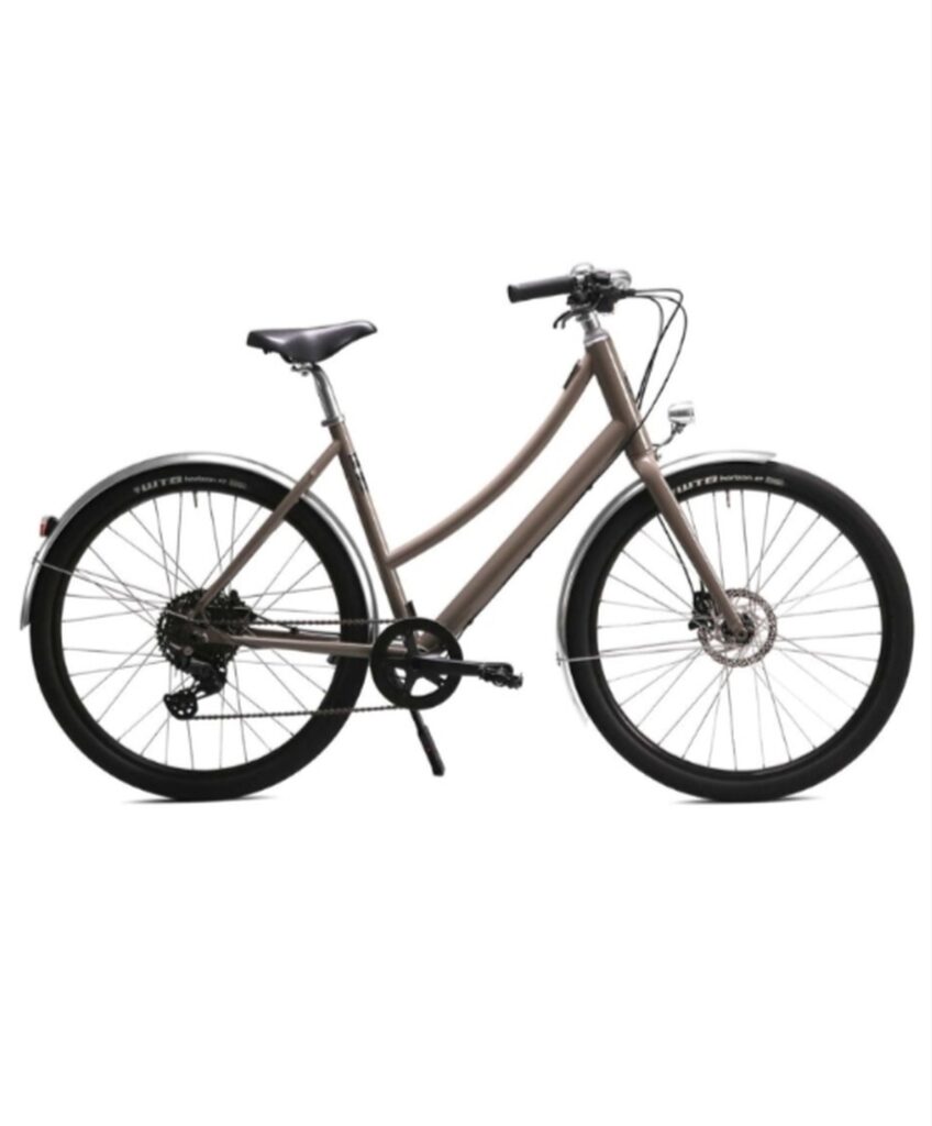 Pelago – Wellamo – Mahle X30 – Deore 1×10 – Walnut