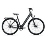 Tenways – CGO800S – Singlespeed – Midnight Black