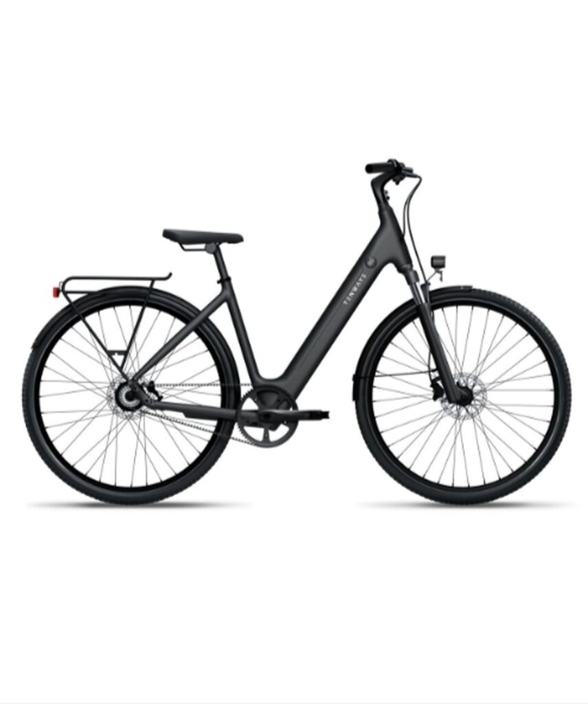 Tenways – CGO800S – Singlespeed – Midnight Black