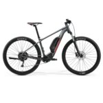 Merida - eBIG NINE LTD - Alivio 9 - EP8 - Cool Grey